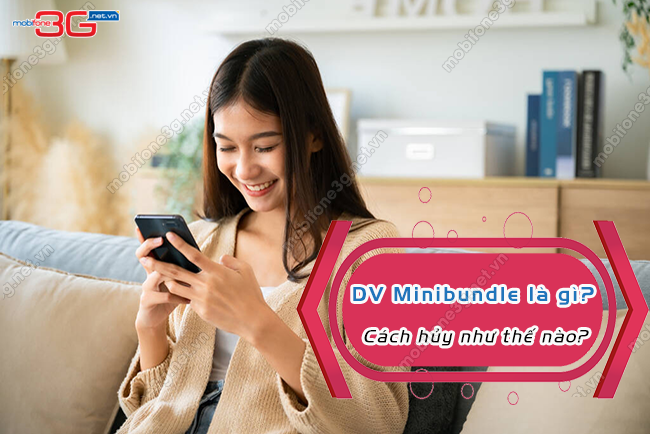 cach huy Dv Minibundle la gi Dv Minibundle la gi