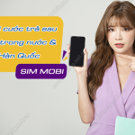 goi tra sau mobifone goi trong nuoc và goi di Han Quoc