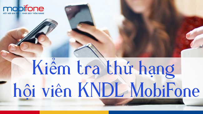 kiem tra thu hang hoi vien KNDL