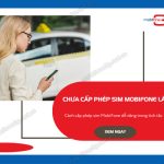 chua cap phep sim mobifone la gi