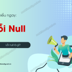 Nguyên nhân bị lỗi Null