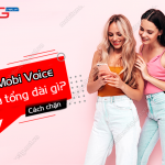 mobi voice la gi?