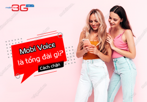 mobi voice la gi?