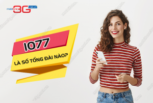 1077 la so tong dai nao?