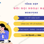 Đăng ký gói cước gọi ngoại mạng Mobi