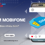 sim mobifone bao nhieu tien