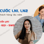 goi cuoc ln1 va ln2 mobifone