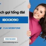 goi tong dai 18001090 the nao