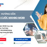 dang ky goi cuoc mxh80 mobifone