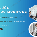 Goi cuoc Mxh100 MobiFone