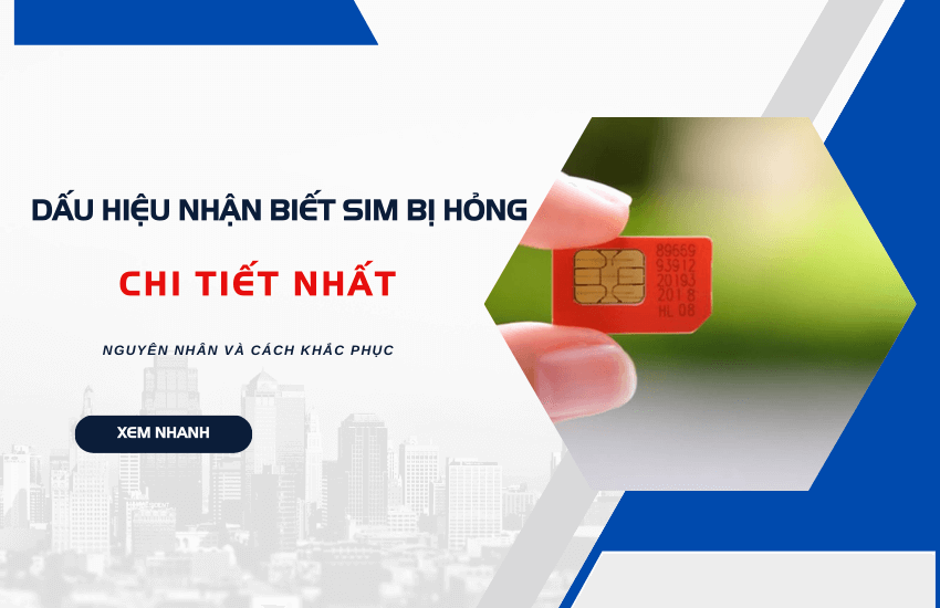 dau hieu nhan biet sim hong