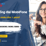 goi tong dai mobifone 1 phut bao nhieu tien