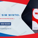 cach hack sim wintel