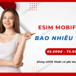 gia esim mobifone