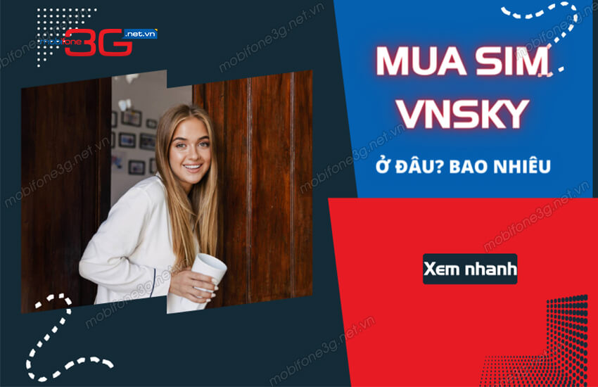 mua sim vnsky o dau gia re