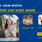 esim wintel khong vao duoc mang