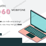 Dang ky goi cuoc FD60 Mobifone