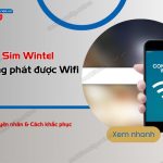 sim wintel khong phat duoc wifi tai sao