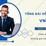 tong dai ho tro vneid