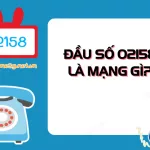 Dau so 02158 la mang gi