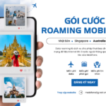 goi cuoc roaming mobifone