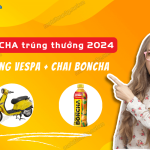 boncha trung thuong 2024