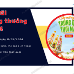 maggi trung thuong 2024