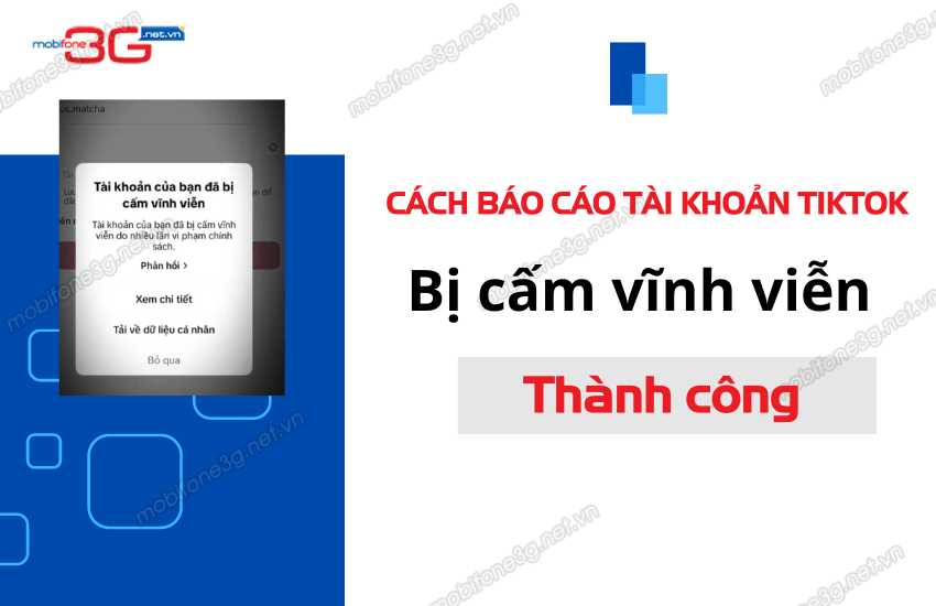 cach bao cao tai khoan tiktok bi cam vinh vien